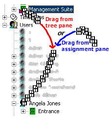 create_assignment.gif (5779 bytes)