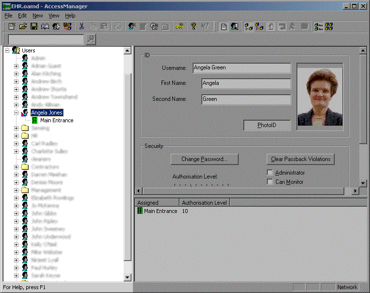 tree_pane.gif (138288 bytes)